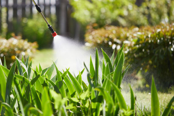 24/7 Emergency Wasp Removal experts in Aitkin, MN